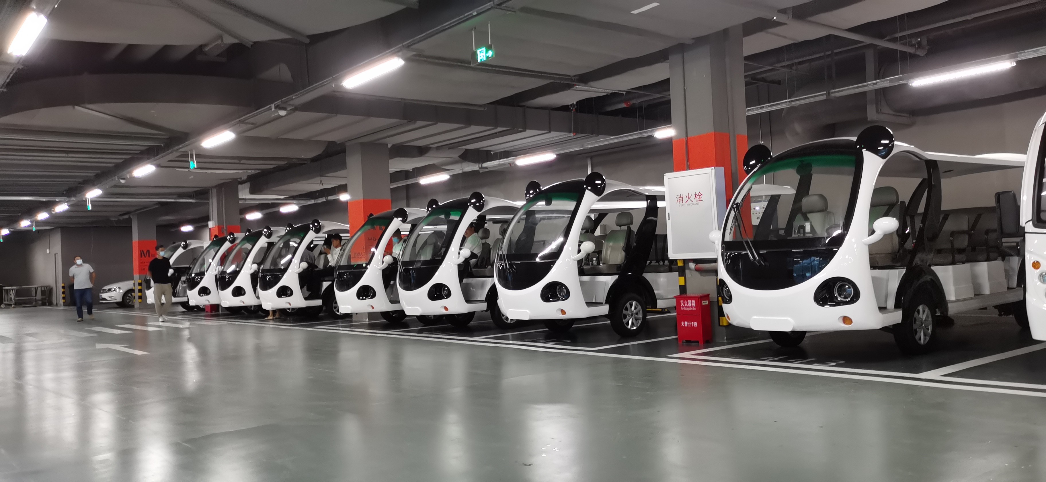 專業(yè)電動巡邏車、電動觀光車制造商