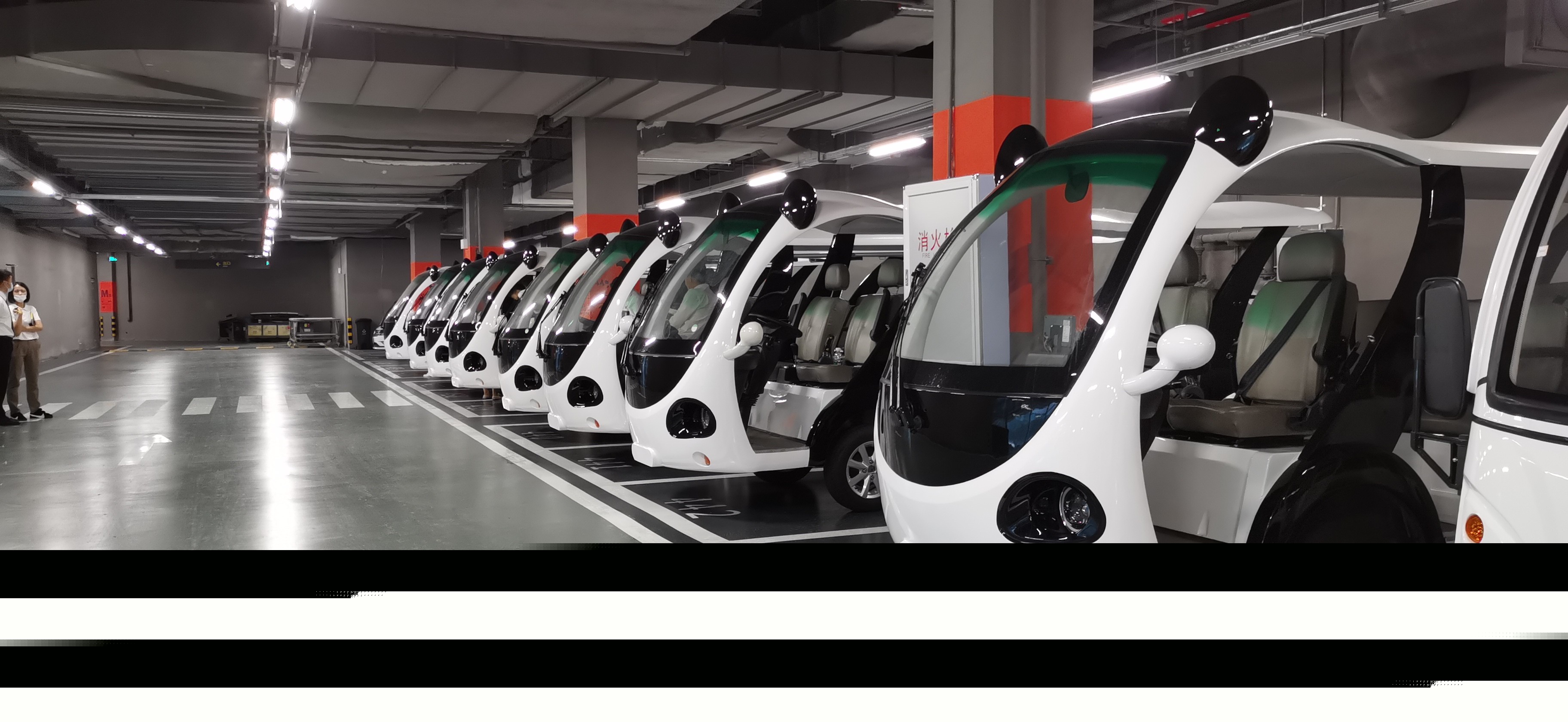 專業(yè)電動巡邏車、電動觀光車制造商
