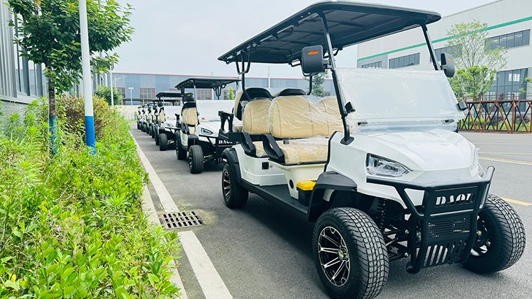 專業(yè)電動(dòng)巡邏車廠家,電動(dòng)觀光車制造商