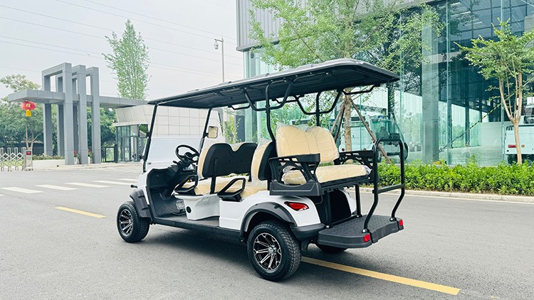 專業(yè)電動(dòng)巡邏車廠家,電動(dòng)觀光車制造商