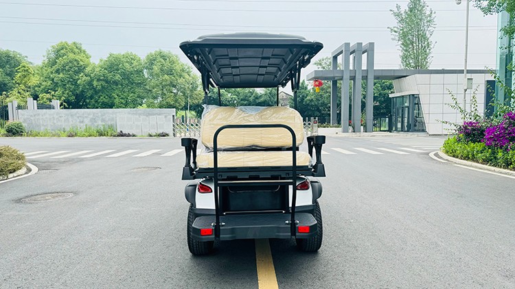 專業(yè)電動(dòng)巡邏車廠家,電動(dòng)觀光車制造商